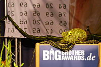Big Brother Awards 2008